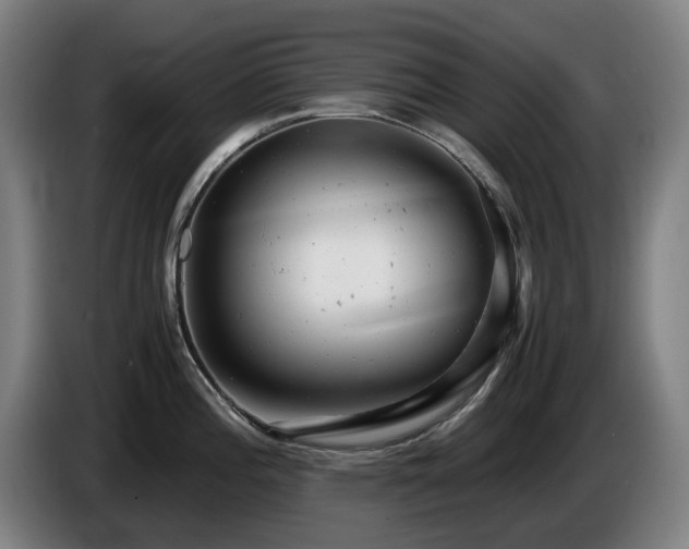 X0000085211196200703091132