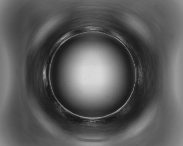 X0000085211198200703091132