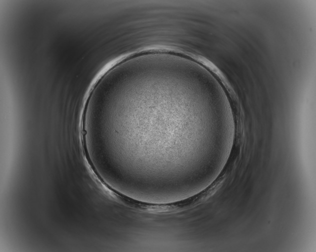 X0000085211199200703091132