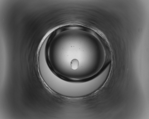 X0000085211200200703091132