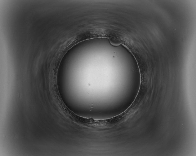 X0000085211201200703091131