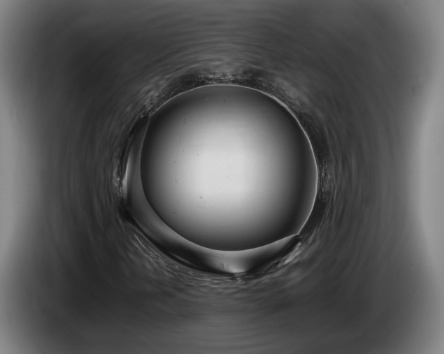 X0000085211202200703091131