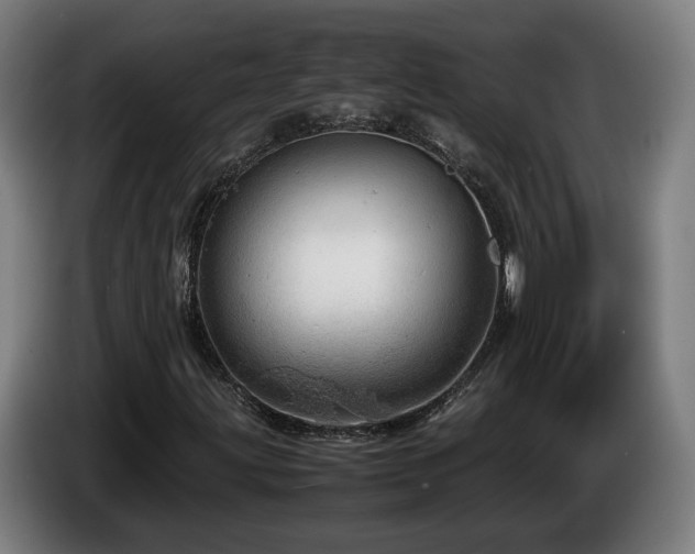 X0000085211203200703091131