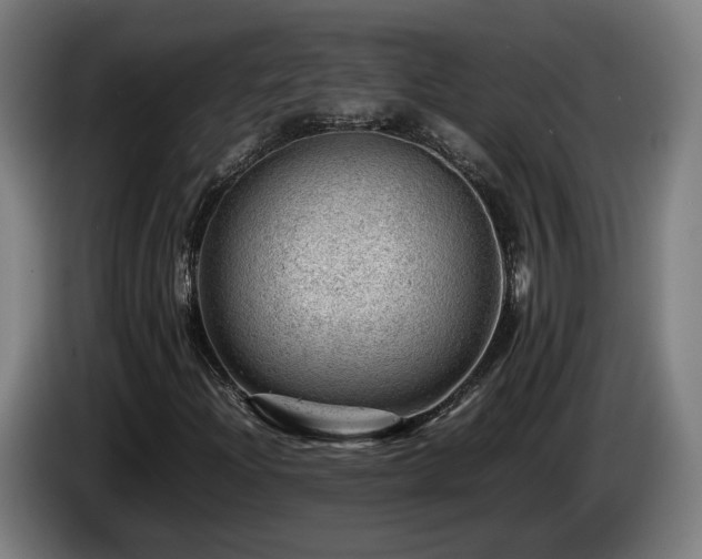 X0000085211204200703091131