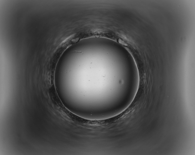 X0000085211205200703091131
