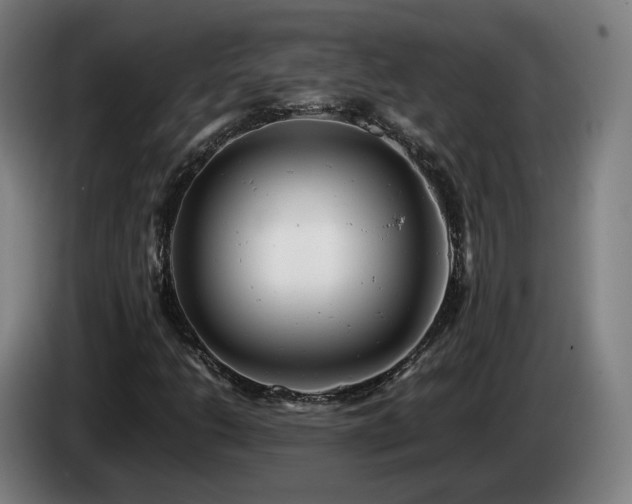X0000085211206200703091131