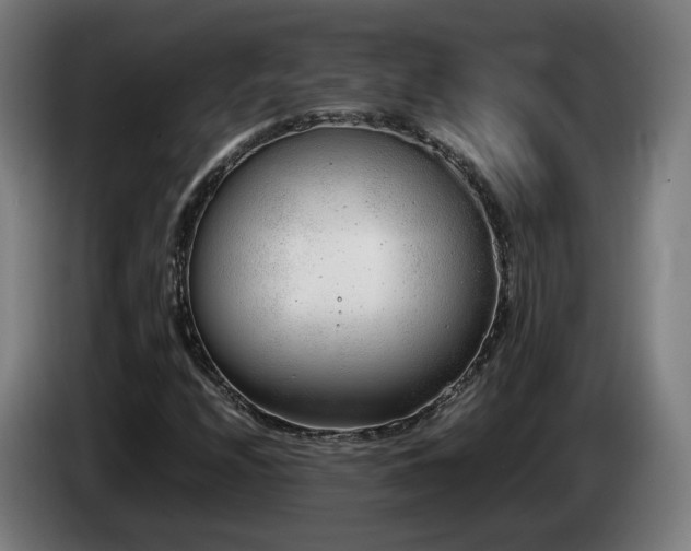 X0000085211208200703091131