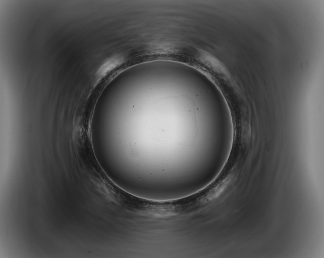 X0000085211210200703091131
