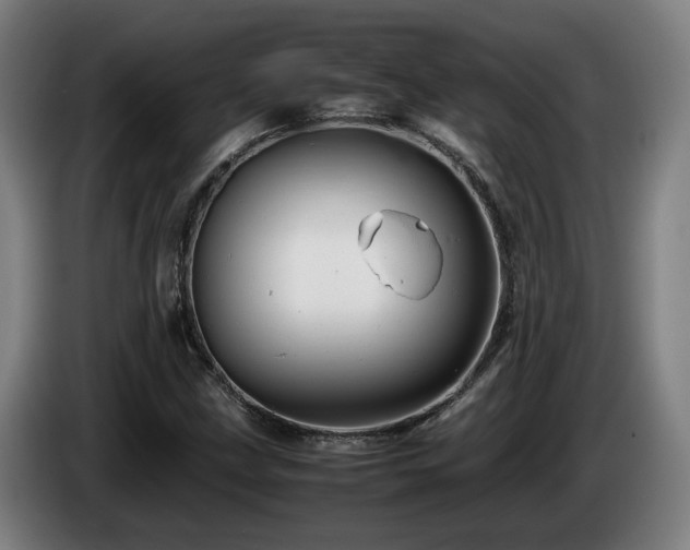 X0000085211211200703091131