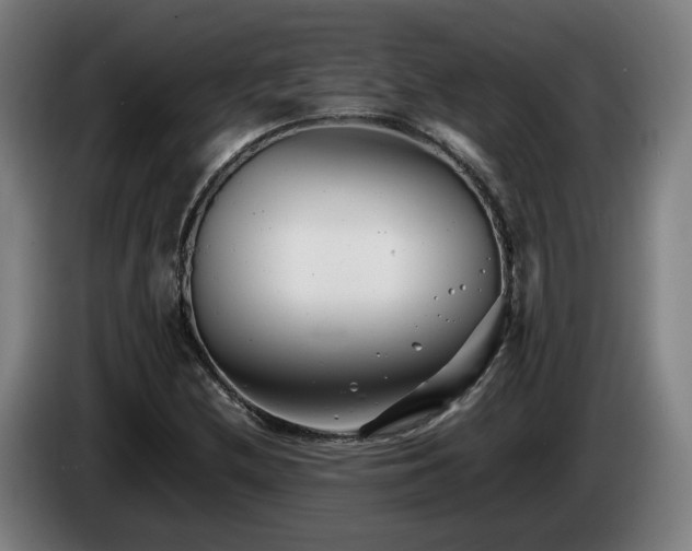 X0000085211212200703091131