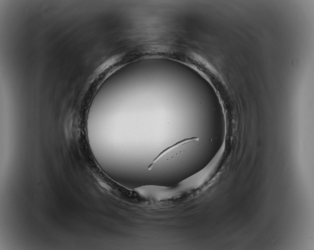 X0000085211213200703091131