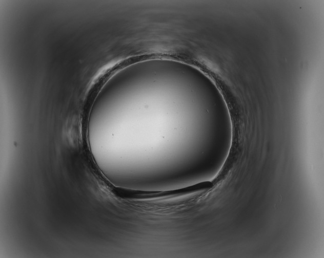 X0000085211214200703091131