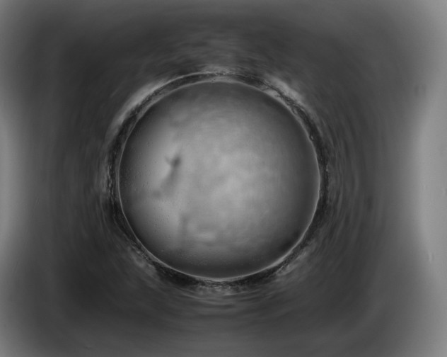X0000085211215200703091132