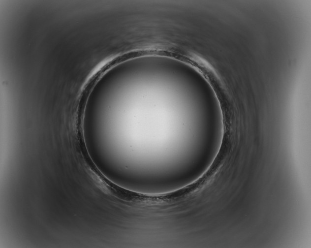 X0000085211216200703091132