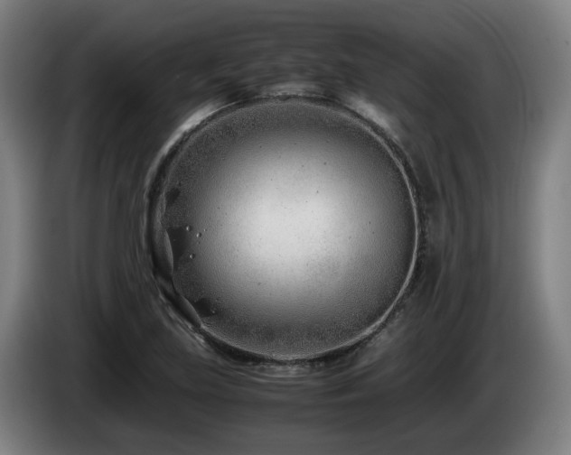X0000085211219200703091132
