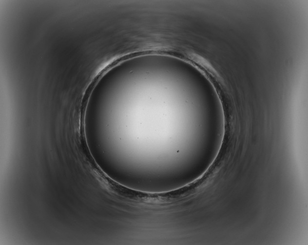 X0000085211220200703091132