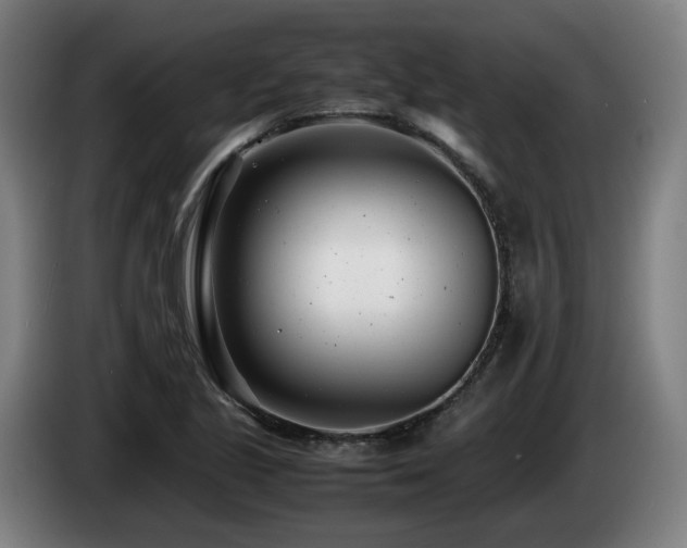 X0000085211221200703091132