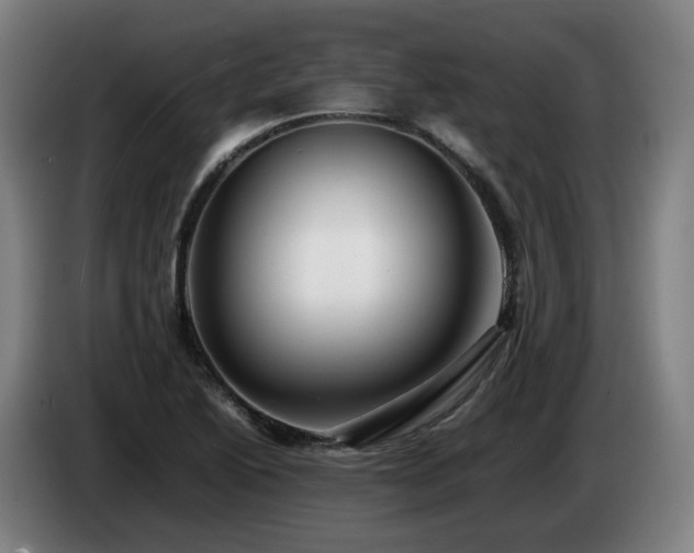 X0000085211222200703091132