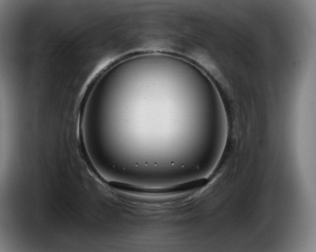 X0000085211224200703091132