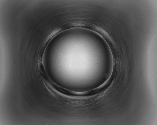 X0000085211225200703091132