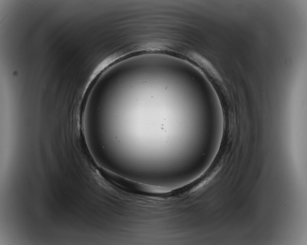 X0000085211226200703091132
