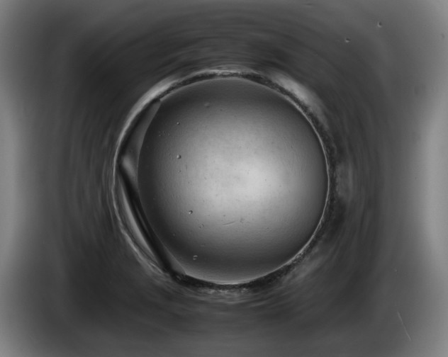 X0000085211229200703091132