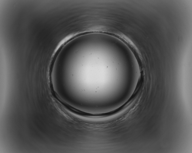 X0000085211230200703091132