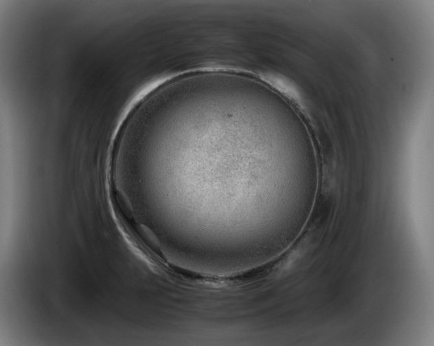 X0000085211231200703091132