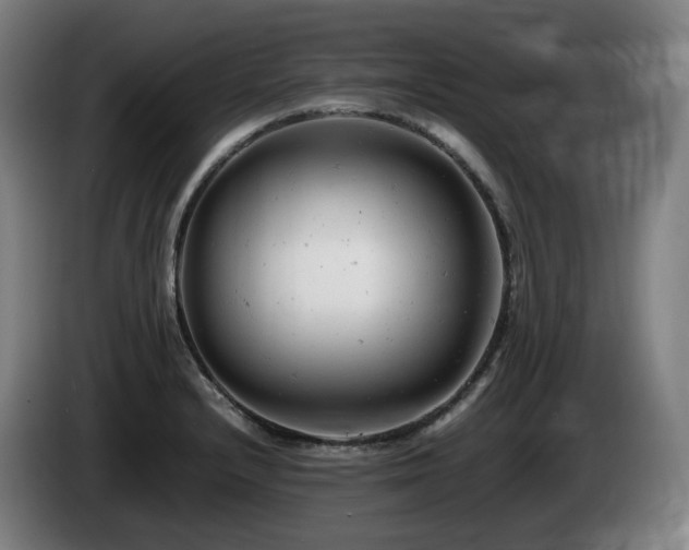 X0000085211232200703091132