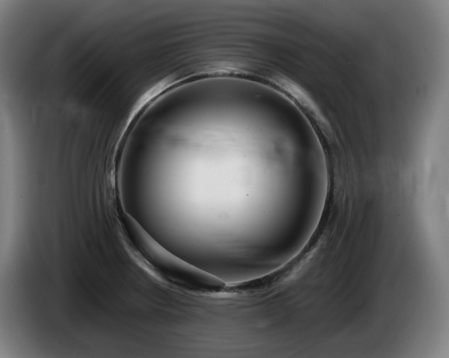 X0000085211234200703091132