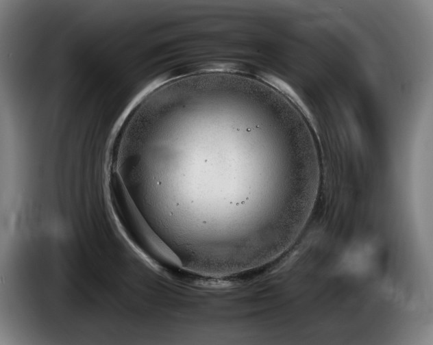 X0000085211235200703091132
