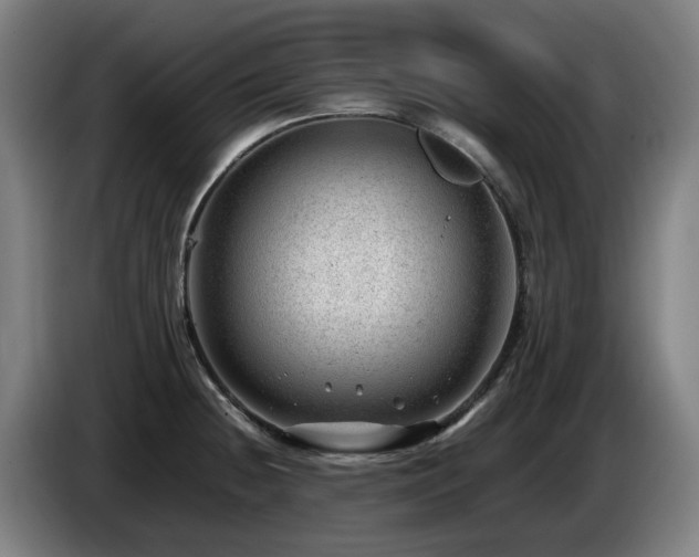 X0000085211236200703091132