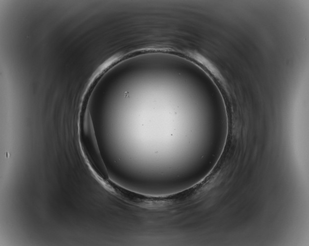 X0000085211237200703091132