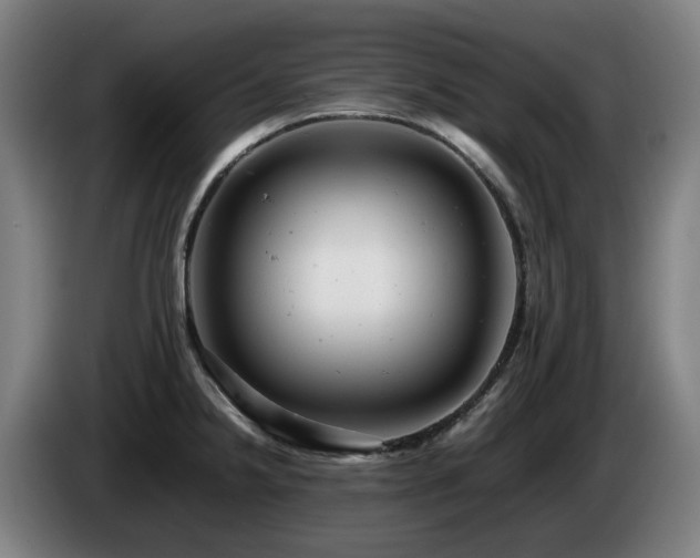 X0000085211238200703091132