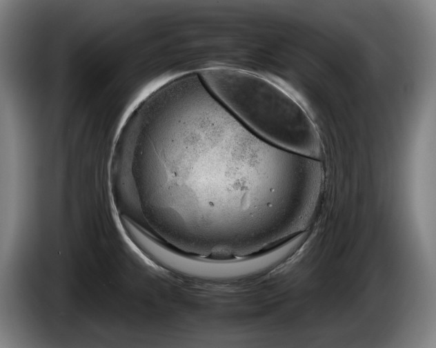 X0000085211239200703091132