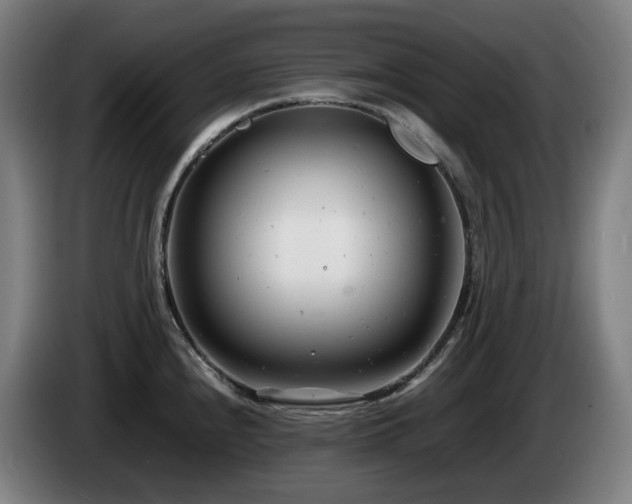 X0000085211240200703091132