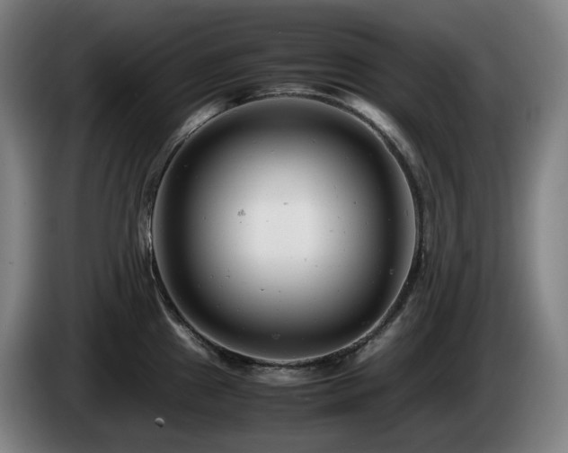 X0000085211241200703091132