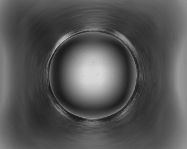 X0000085211242200703091132