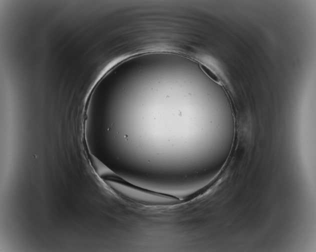 X0000085211244200703091132