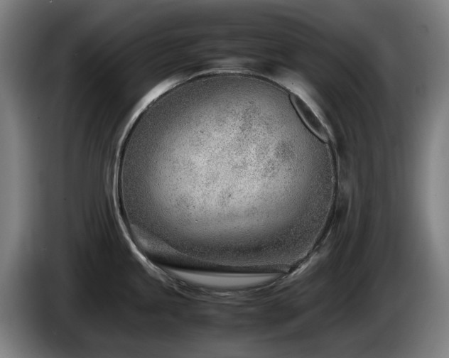 X0000085211245200703091132