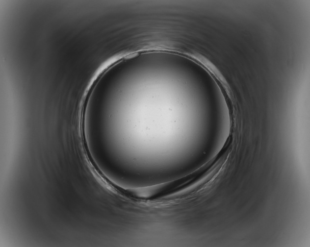 X0000085211246200703091132