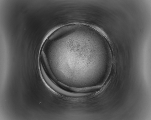 X0000085211247200703091132