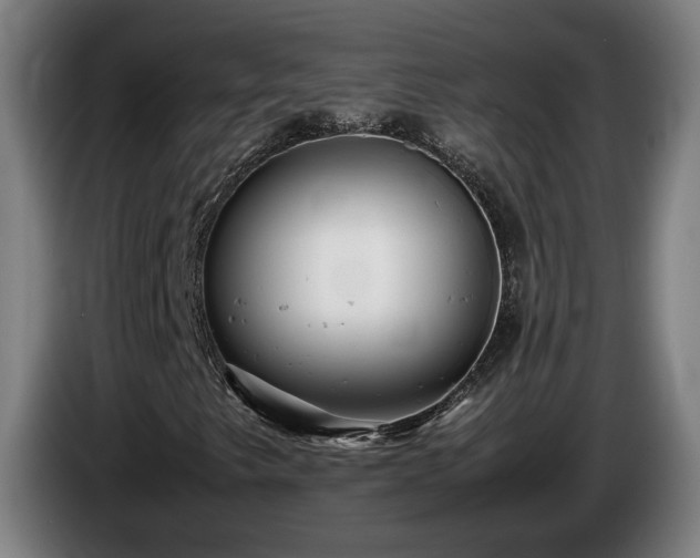 X0000085211249200703091131
