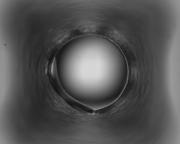 X0000085211250200703091131