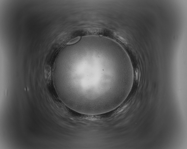 X0000085211251200703091131