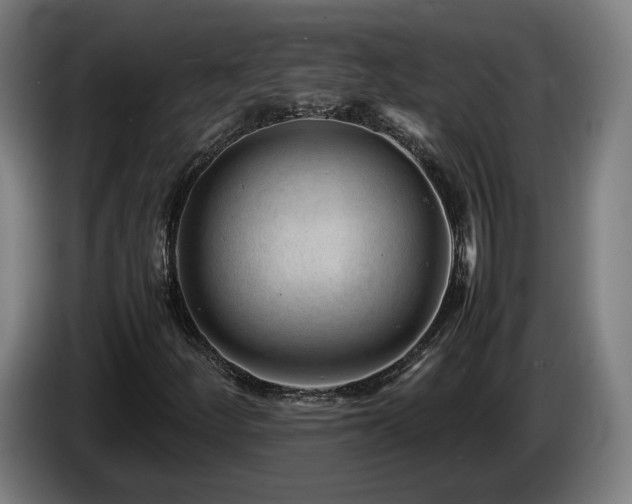 X0000085211252200703091131