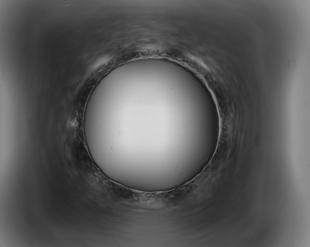 X0000085211254200703091131