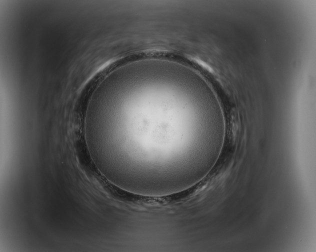 X0000085211255200703091131