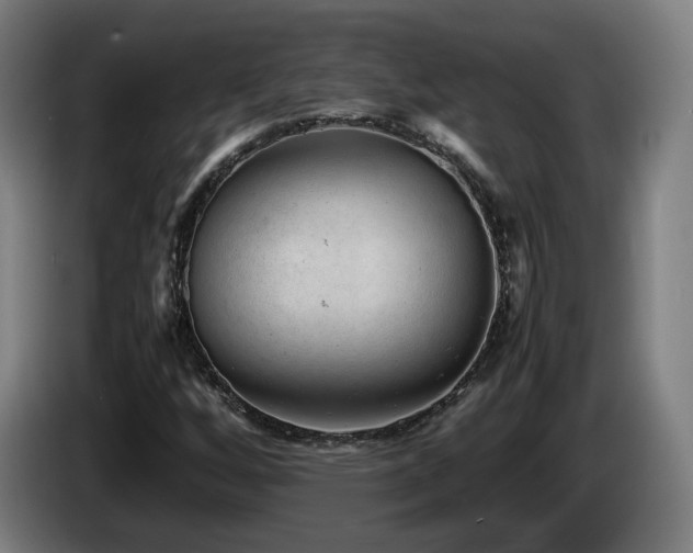 X0000085211256200703091131