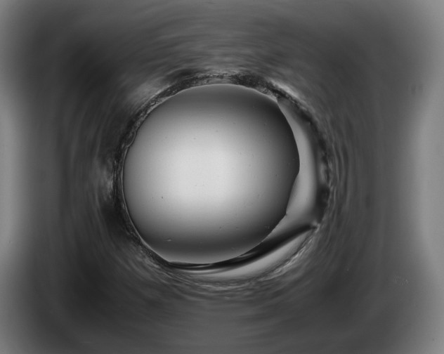 X0000085211257200703091131